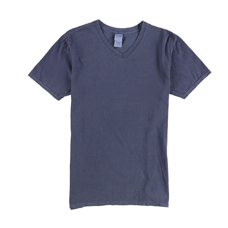 V-Neck T-ShirtsGildan Womens Solid Basic T-Shirt, Blue, Medium